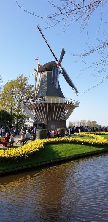 Amsterdam – von Tulpen und Grachten